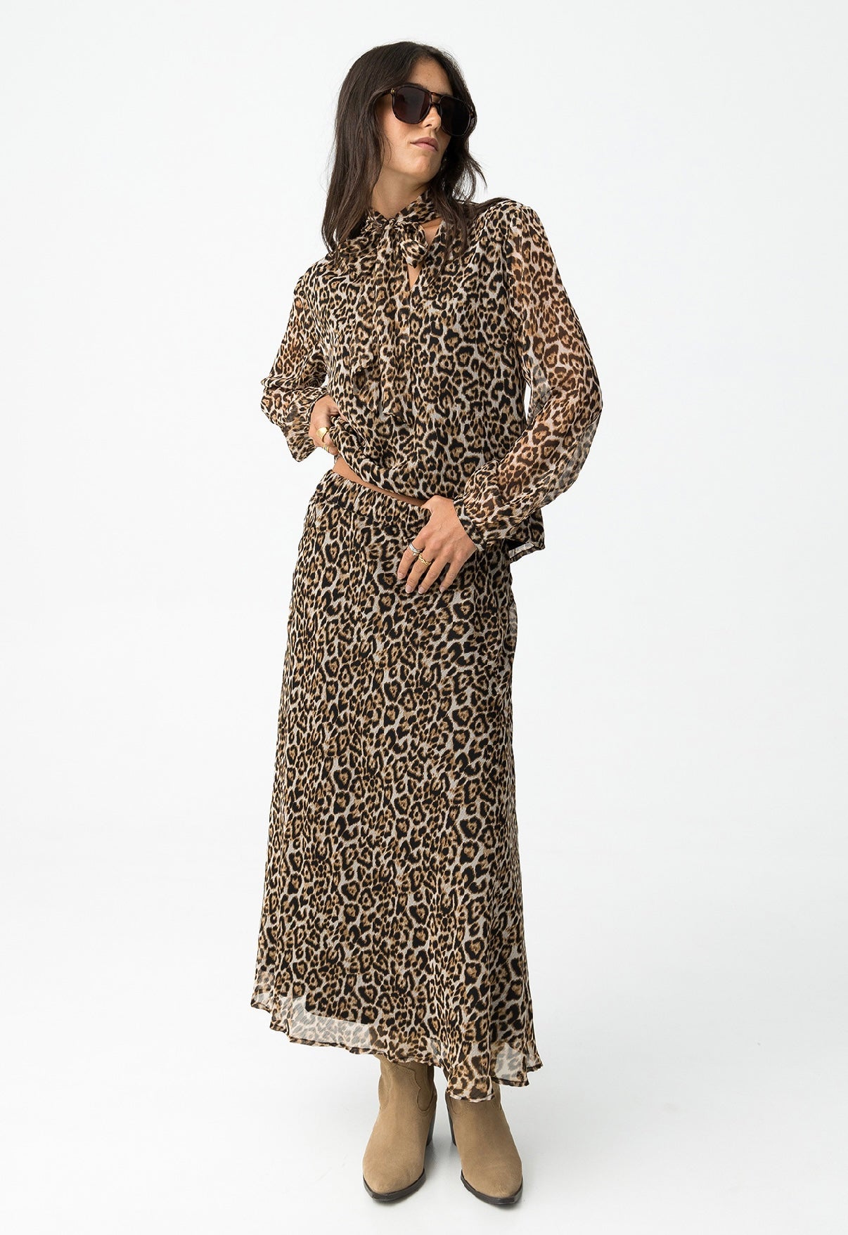 Dalmatian_b 10061957_184